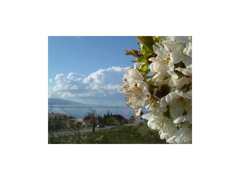 Appartements Klara – Ferienwohnung Senj, Kroatien – Foto 8