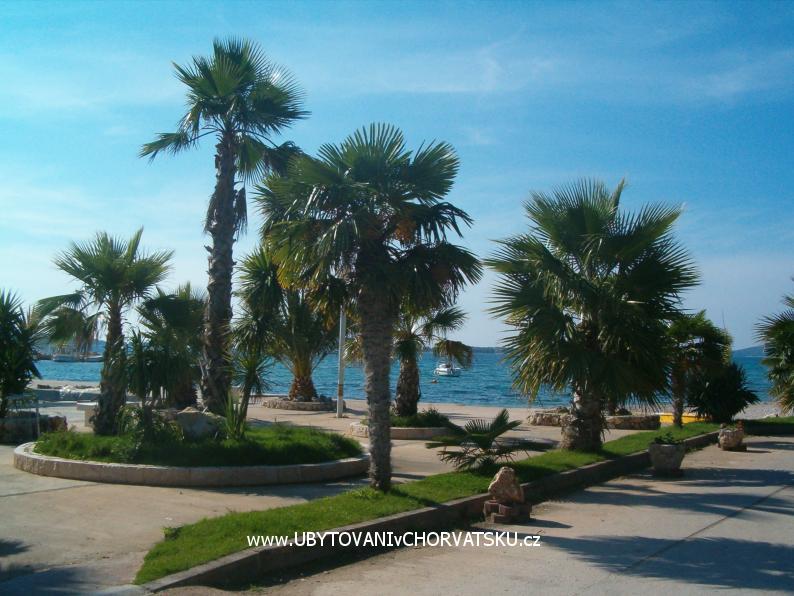 Apartment Ivana – Ferienwohnung Sibenik, Kroatien – Foto 6