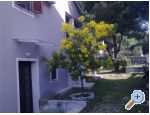 Appartement Katarina - ibenik Croatie