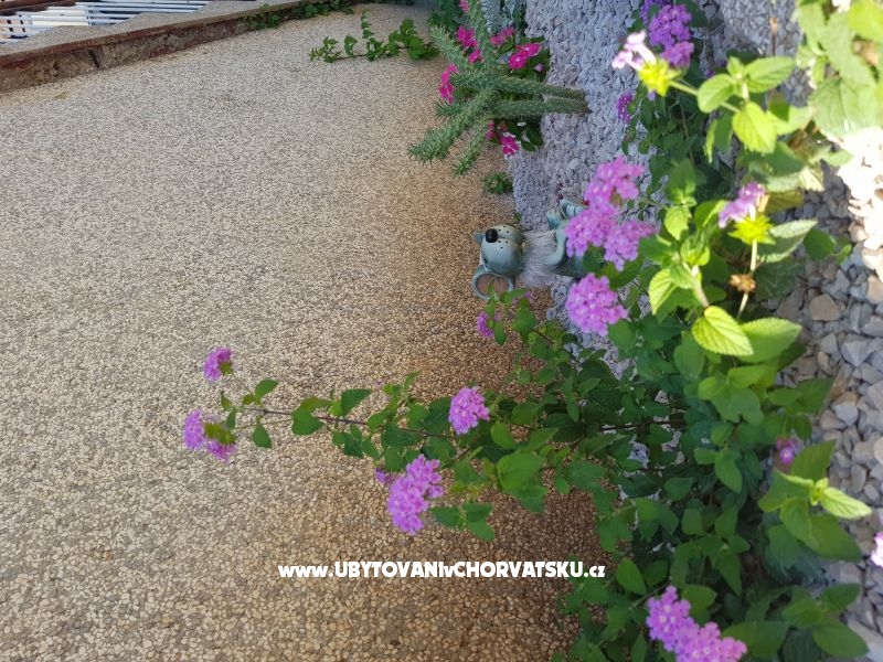 Apartment Mikelin – Ferienwohnung Sibenik, Kroatien – Foto 5