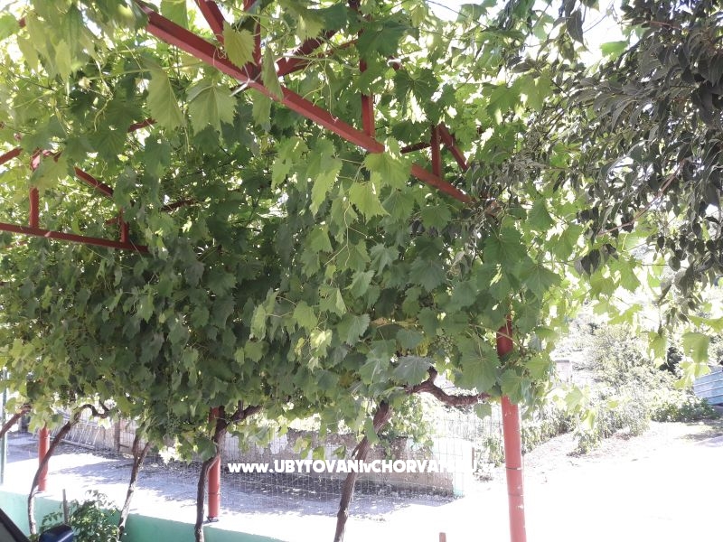 Apartment Stara kuća  – Ferienwohnung Sibenik, Kroatien – Foto 3