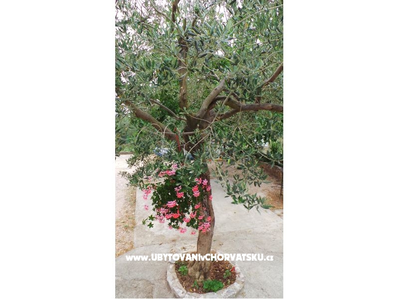 Apartmán Tomić – ubytování Šibenik, Chorvatsko – foto 10