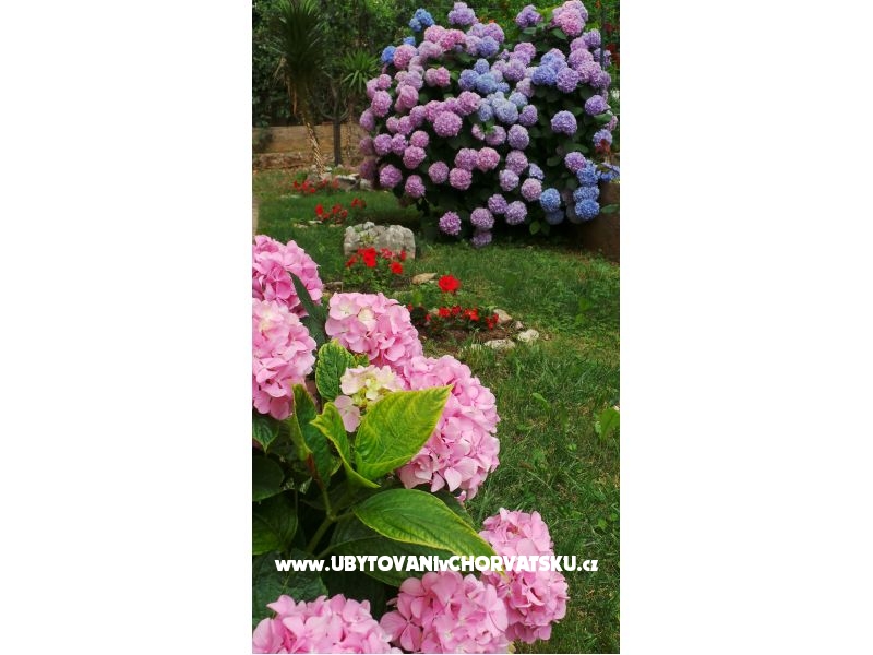 Apartmán Tomić – ubytování Šibenik, Chorvatsko – foto 9