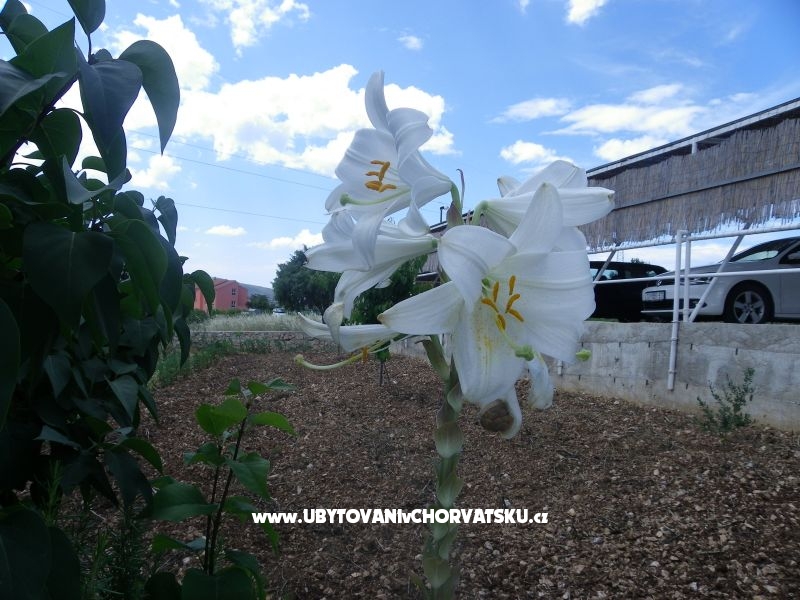 Appartements Ante-Gojko – Ferienwohnung Sibenik, Kroatien – Foto 11