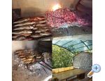 Apartmny Bakovi - ibenik Chorvatsko