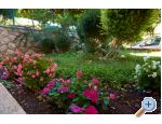 Apartmny Bakovi - ibenik Chorvatsko