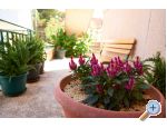 Apartmny Bakovi - ibenik Chorvatsko