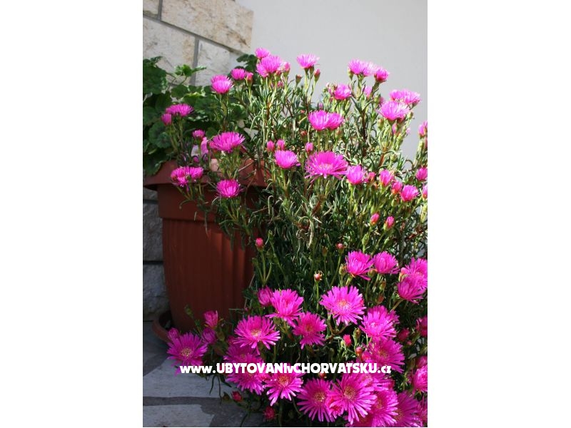 Appartements Gašperov – Ferienwohnung Sibenik, Kroatien – Foto 7