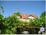 Apartment Mareti - ibenik Kroatien