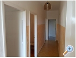 Appartements Pletikosa Gaj - ibenik Kroatien