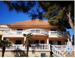 Apartmny SEA STAR - ibenik Chorvatsko