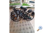 Apartmny SEA STAR - ibenik Chorvatsko