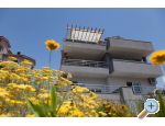 Appartements Timbar - ibenik Kroatien
