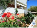 Apartment "Tonmar" - ibenik Kroatien