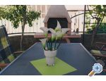 Apartma Sunny Garden - ibenik Hrvaka