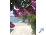 Appartements Mare Nostrum - ibenik Croatie