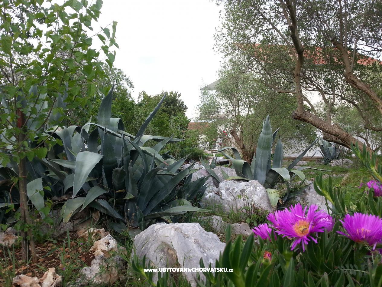 Apartmány Vlado – ubytování Šibenik, Chorvatsko – foto 4