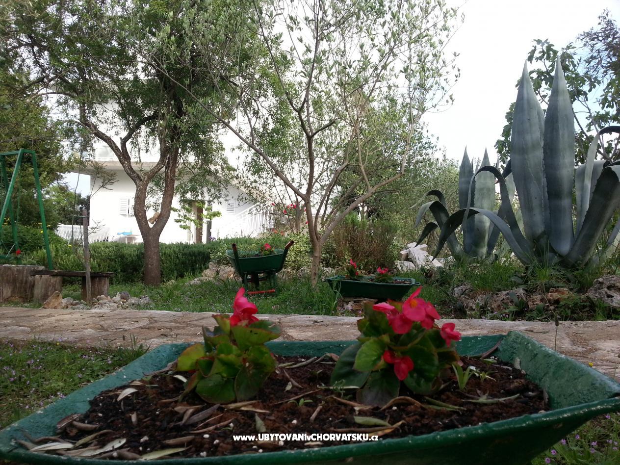 Apartmány Vlado – ubytování Šibenik, Chorvatsko – foto 7