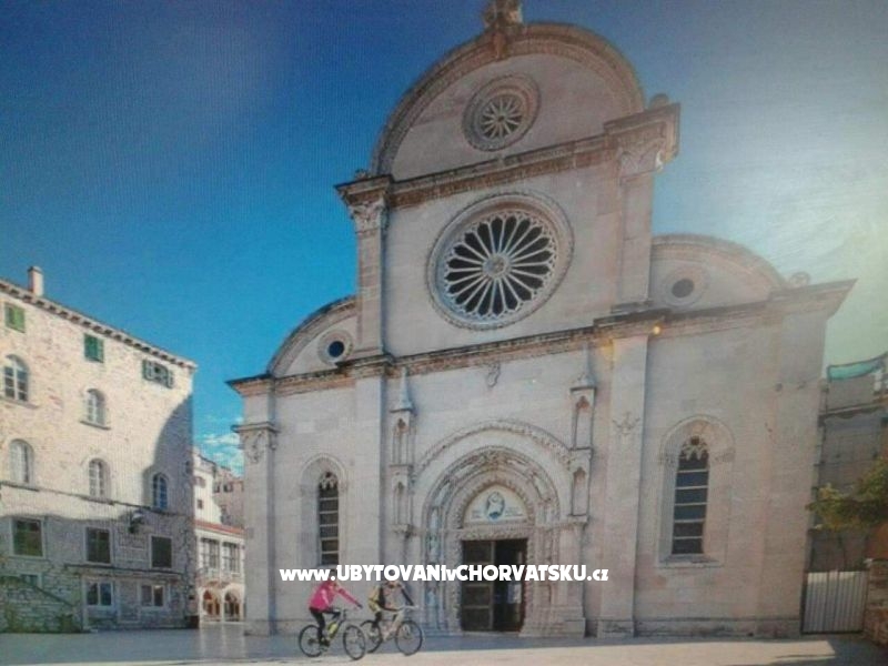 Dalmatian – Ferienwohnung Sibenik, Kroatien – Foto 9