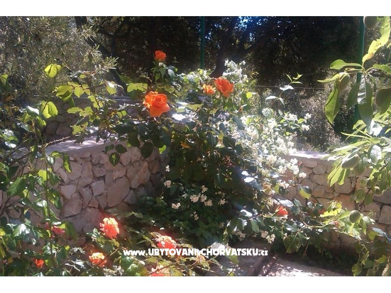 Lavanda Apartment – Ferienwohnung Sibenik, Kroatien – Foto 17