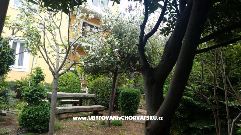 Vila Arboretum Šibenik – ubytování Šibenik, Chorvatsko – foto 2