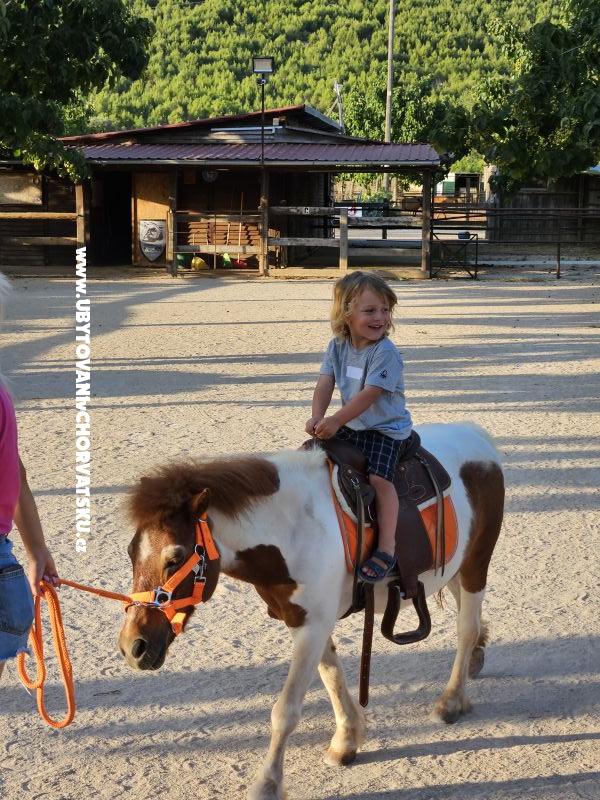 Villa Aura Maris – Ferienwohnung Sibenik, Kroatien – Foto 19