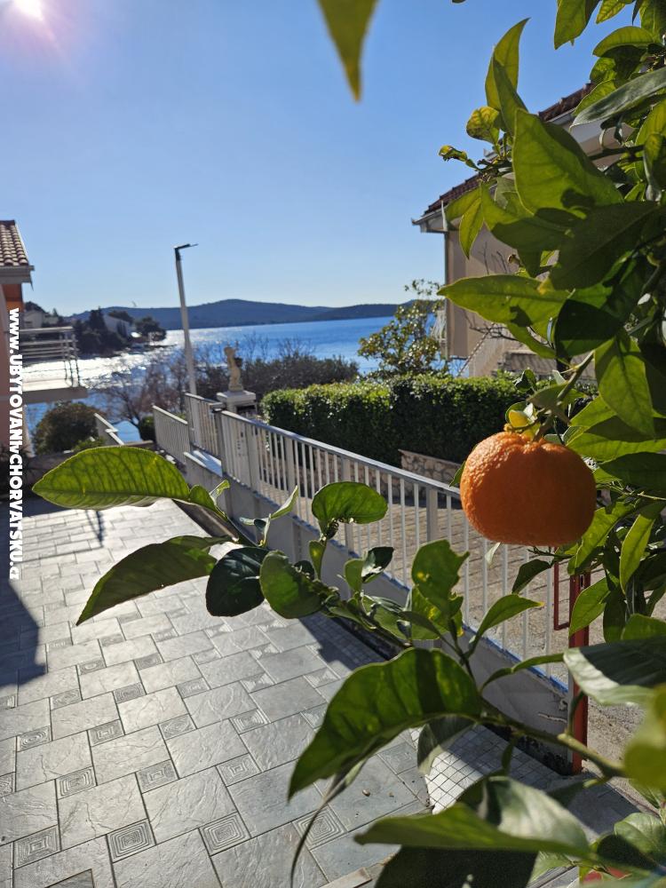 Villa Aura Maris - �ibenik Chorvatsko
