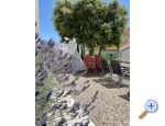 Villa Salvia Adriatica - ibenik Hrvaka