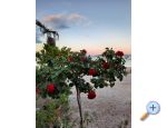 Villa Seaside abori - ibenik Kroatien