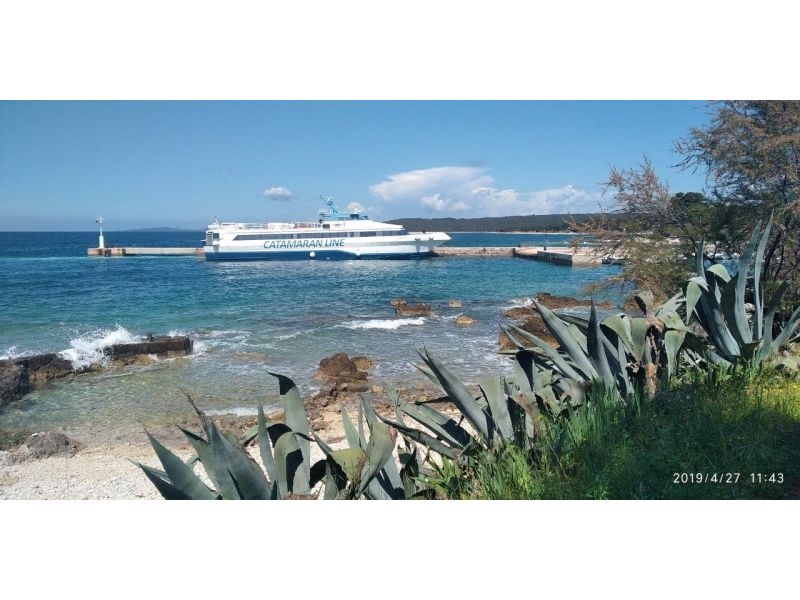 Apartment Raj na zemlji – Ferienwohnung Insel Sestrunj, Kroatien – Foto 1