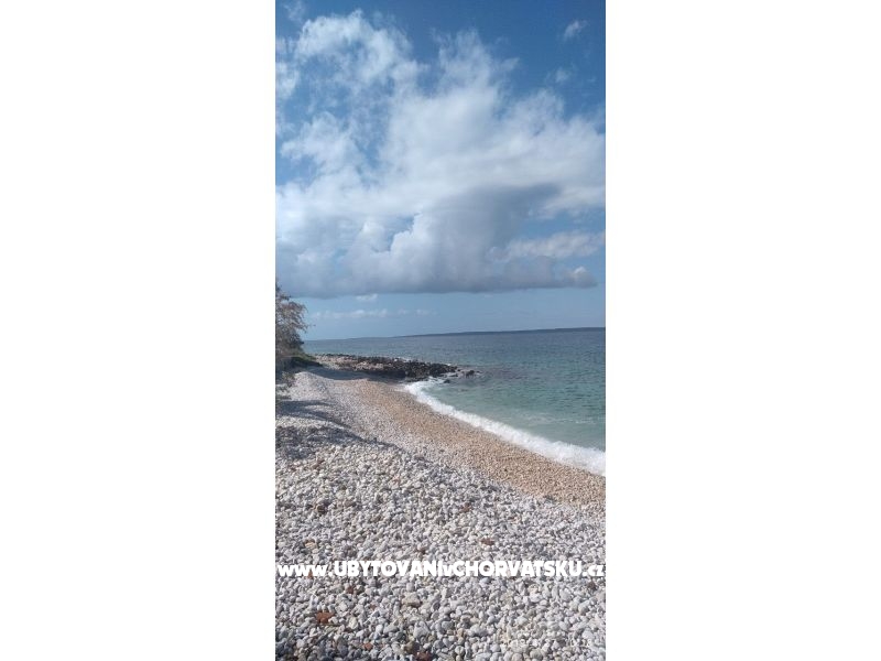 Apartment Raj na zemlji – Ferienwohnung Insel Sestrunj, Kroatien – Foto 13