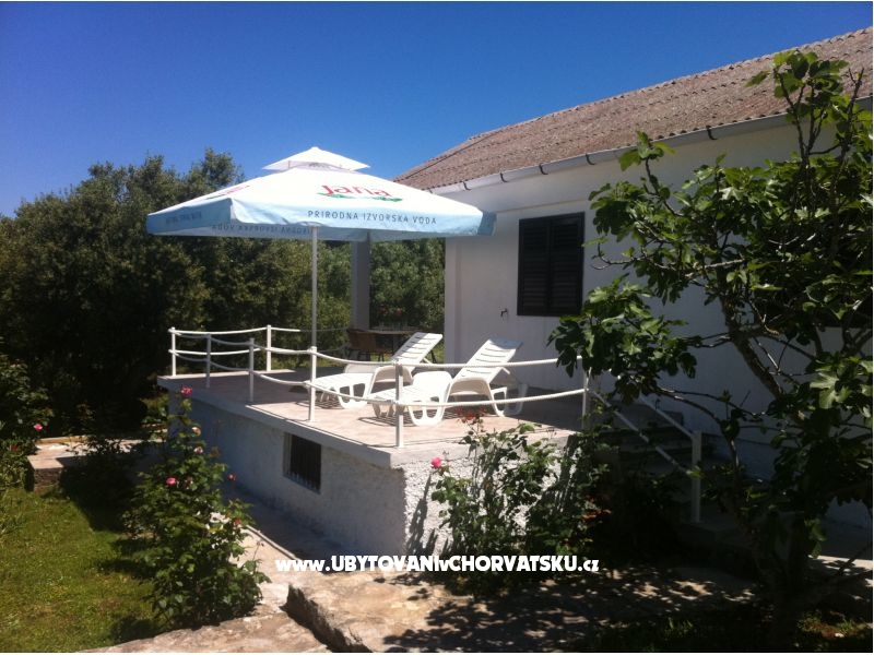 Seaview villa – ubytování ostrov Silba, Chorvatsko – foto 13