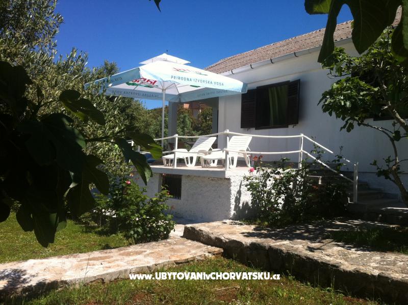 Seaview villa – ubytování ostrov Silba, Chorvatsko – foto 4