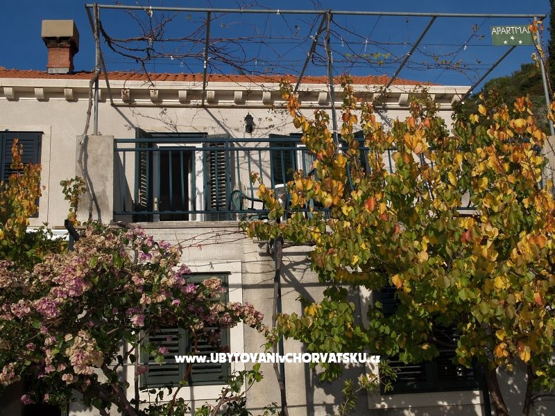 Appartements Ančica – Ferienwohnung Slano, Kroatien – Foto 2