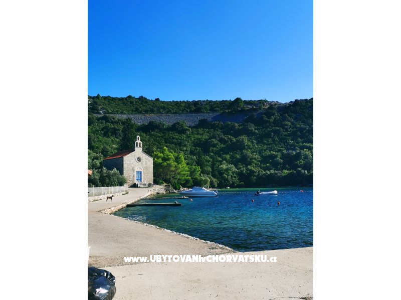 Garden view apart.150m from beach – Ferienwohnung Slano, Kroatien – Foto 3