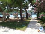 Apartmny POLAA - Slano - Slano Chorvatsko