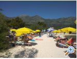 Apartmny POLAA - Slano - Slano Chorvatsko