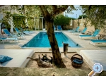 Villa Dube Slano/ villa mit Pool - Slano Kroatien