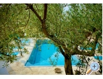 Villa Dube Slano/ villa mit Pool - Slano Kroatien
