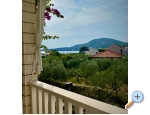 Villa Dube Slano/ villa mit Pool - Slano Kroatien