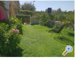 Villa Dube Slano/ villa mit Pool - Slano Kroatien