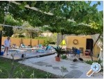 Villa Dube Slano/ villa z bazenom - Slano Hrvaka