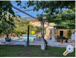 Villa Dube Slano/ villa mit Pool - Slano Kroatien