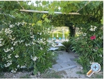 Villa Dube Slano/ villa mit Pool - Slano Kroatien