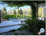 Villa Dube Slano/ villa mit Pool - Slano Kroatien