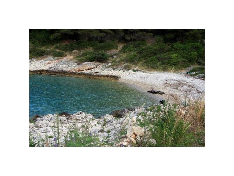 Vesna Batinic – Ferienwohnung Insel Solta, Kroatien – Foto 12