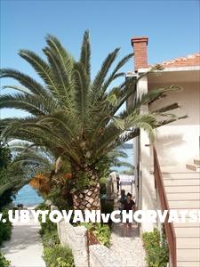 Appartements Bosko – Ferienwohnung Insel Solta, Kroatien – Foto 6