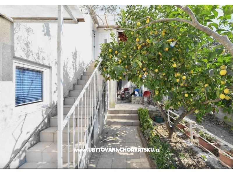 Appartements Neda – Ferienwohnung Insel Solta, Kroatien – Foto 3