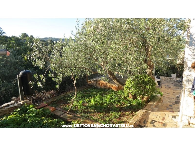 Appartements Janja – Ferienwohnung Insel Solta, Kroatien – Foto 6