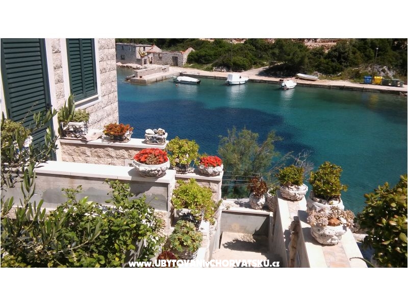 Appartements Nikola – Ferienwohnung Insel Solta, Kroatien – Foto 3